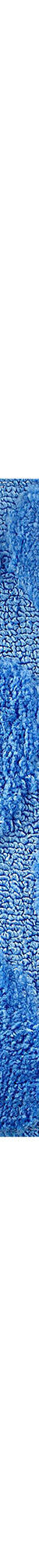 Tapis de bain motif galets (bleu dur) Tapis de bain motif galets (bleu dur)